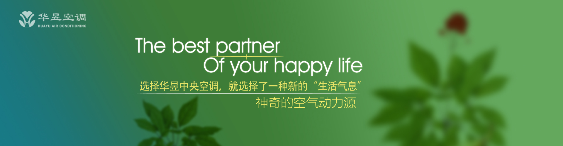 荆棘铜驼网